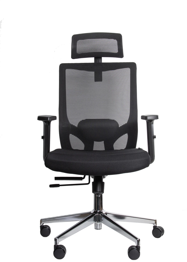 Ergonomska kancelarijska stolica UGD Vista D94