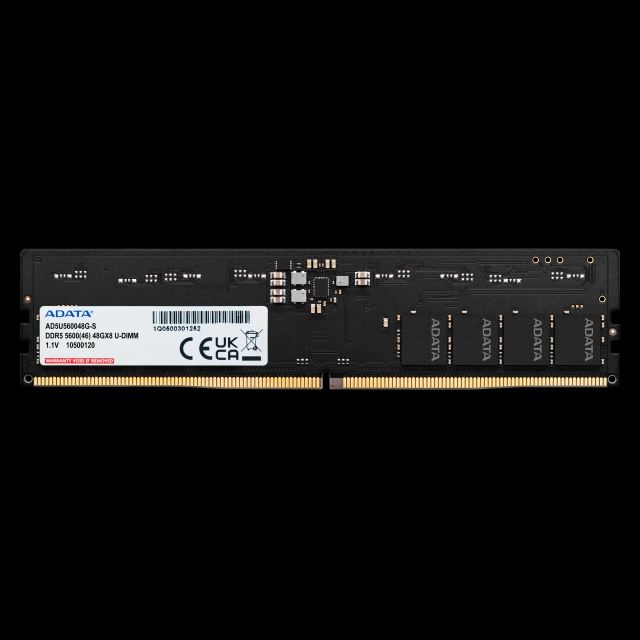 Memorija DDR5 32GB 5600MHz AData AD5U560032G-S