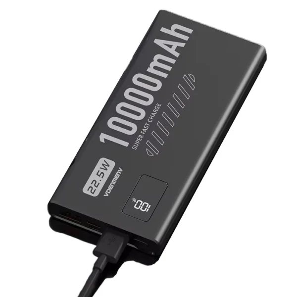 Power bank Denmen DP43 10000Mah Fast PD20W /QC3.0/ 2xTypeC/1xUSB-A Crni