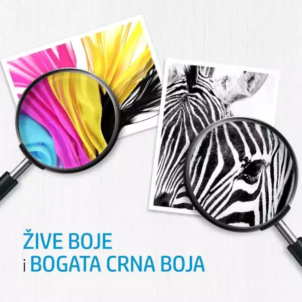 Slika proizvoda 5